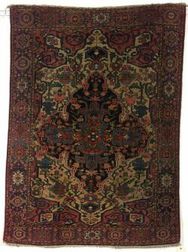 Bahktiari Rug